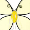 Yellow Toddler Girl Bumble Bee Wings Tutu Wand Costume Dress Up Set