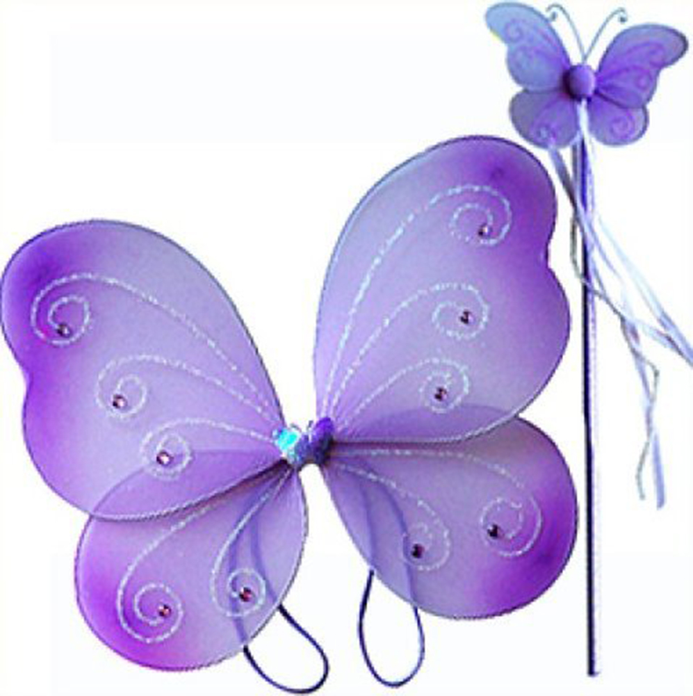 Purple Butterfly Costume 2 Piece Dress-up Wing and Wand Set