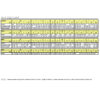 COLE Boys Suit with Shirt and Vest (5-Piece) Size Chart Image